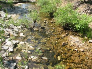 These are high quality rocks!