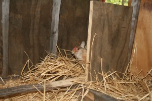 "I swear I'm clean!"