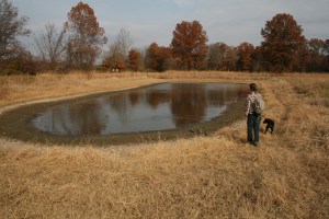 Oh yeah, that's got some serious bacterial action going on.