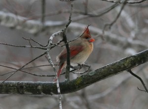 Yeah, I sing too, and it's nice....real nice.