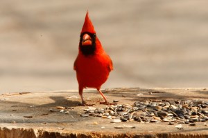 Hey! I said NO PICTURES!!!