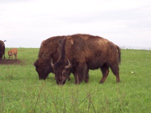 Yup, just like socks. 