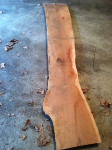 What do you want to be, darling?