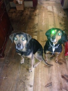 Drop something? Drop something? Drop something? Drop something? Drop something? Drop something? Drop something? Drop something? Drop something? Drop something?