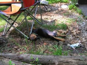 Take a break in the shade